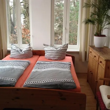 Bernstein Comfortable